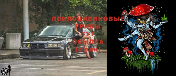ГАЛЛЮЦИНОГЕННЫЕ ГРИБЫ Алзамай