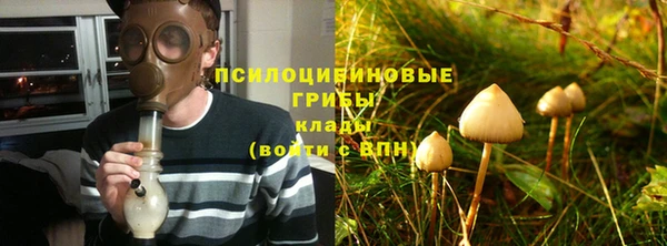 не бодяженный Алексин
