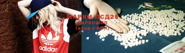 ГАЛЛЮЦИНОГЕННЫЕ ГРИБЫ Алзамай