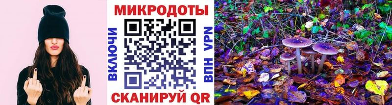 как найти закладки  Магнитогорск  сайты даркнета Telegram  Псилоцибиновые грибы Psilocybe 
