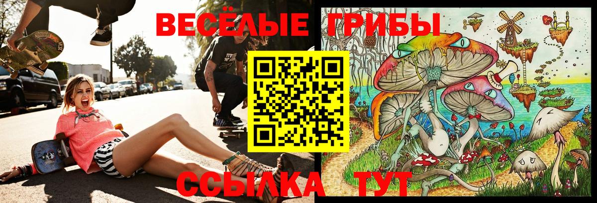 Псилоцибиновые грибы Cubensis Магнитогорск
