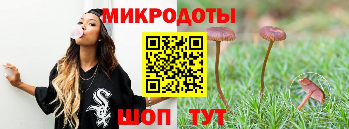 Галлюциногенные грибы Psilocybe  Вход с VPN  Магнитогорск 